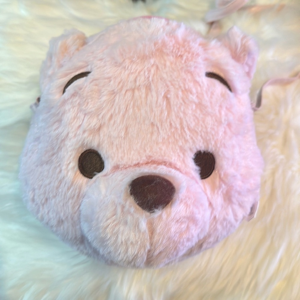 Winnie the Pooh toyko Disney purse